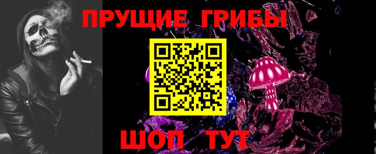 Новочебоксарск  Псилоцибиновые грибы MAGIC MUSHROOMS  Вход с VPN  Псилоцибиновые грибы MAGIC MUSHROOMS 